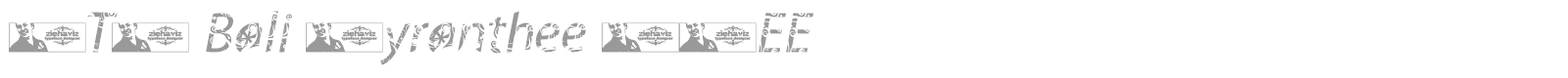 FTF Bali Myranthee FREE font preview